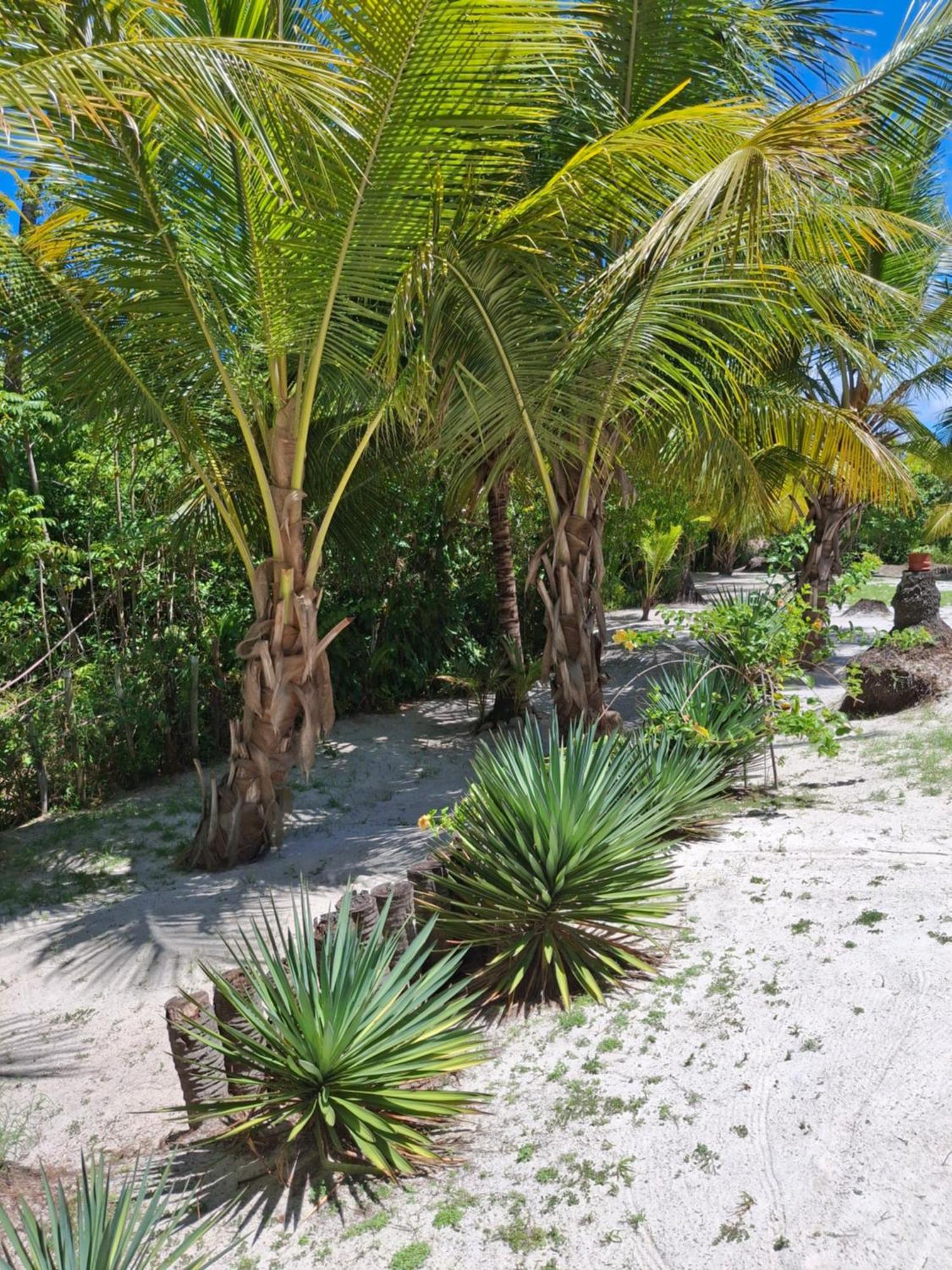 Recanto Verde - Praia De Santo Antonio Диогу Экстерьер фото